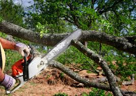 Seasonal Cleanup (Spring/Fall) in Stiles, PA